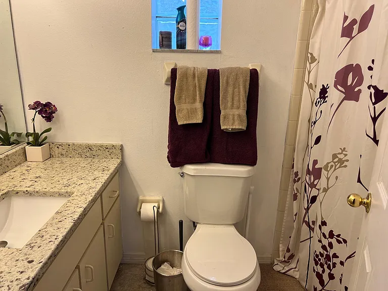 7833 Chediston Cir — Photo 9
