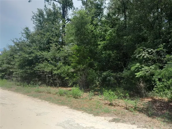 SE 108th Ter Lot 1, Morriston, FL 32668