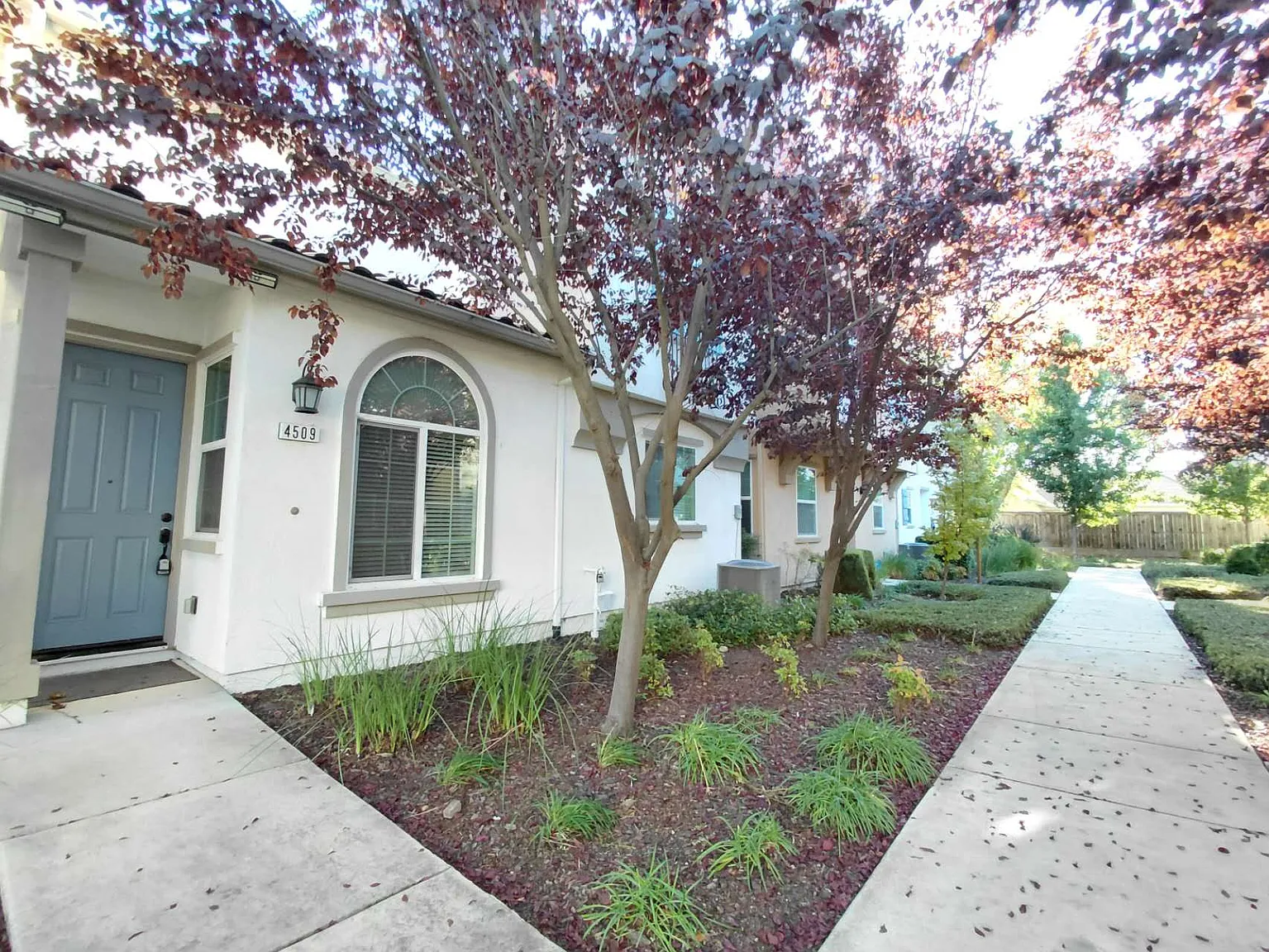 4509 Lerino Walk photo 1
