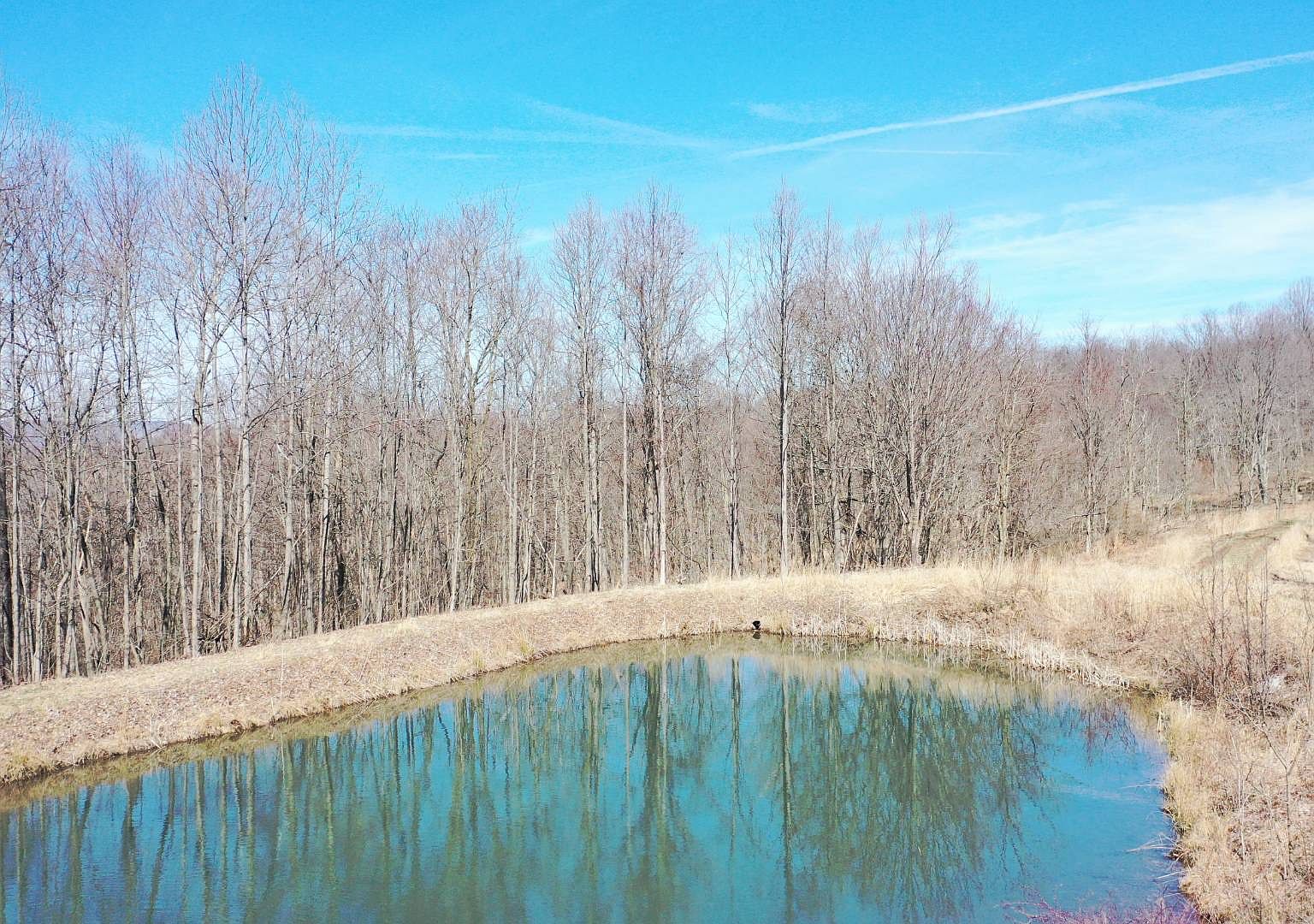 0 Pumpkin Center Rd, Fort Hill, PA 15540 Zillow