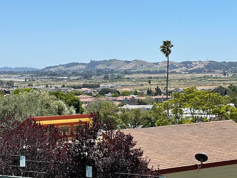 206 Loma Bonita Dr — Photo 20