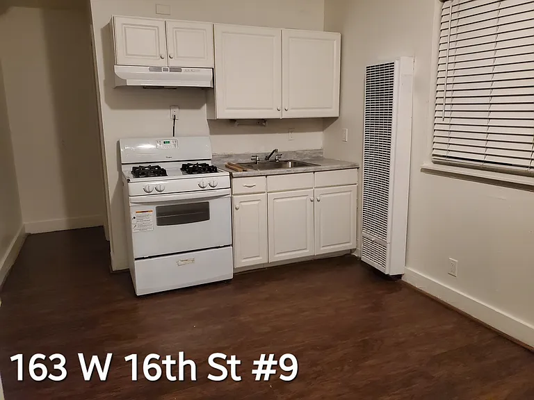 163 W 16th St #8 — Photo 6