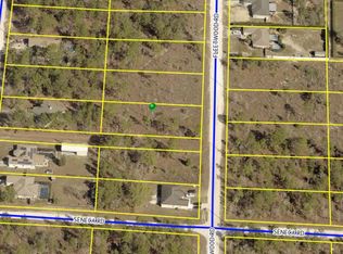 15361 Fleetwood Rd, Weeki Wachee, FL 34614