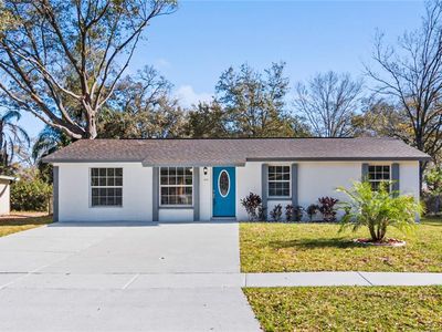 3723 Ambermist Dr, Tampa, FL, 33619