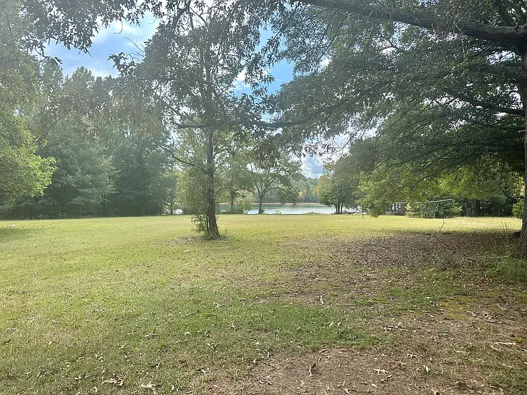 99 Hudgins Lake Rd #99 — Photo 5