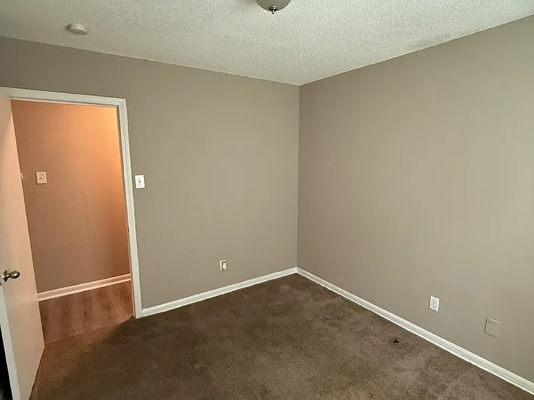 3386 Spring Water Cv — Photo 17