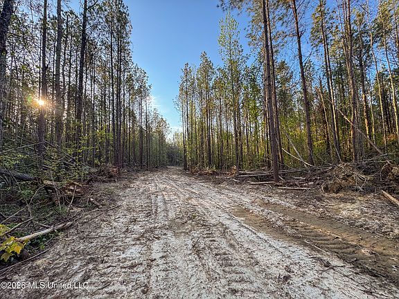 4th image of Sand Hill Rd Lot 1
