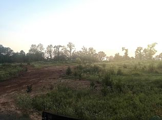 Blackmon Rd, Diana, TX 75640