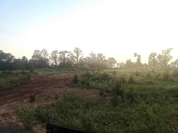 Blackmon Rd, Diana, TX 75640
