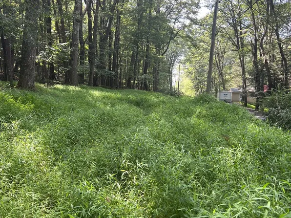 Santa Fe Trl, Oakland, MD 21550