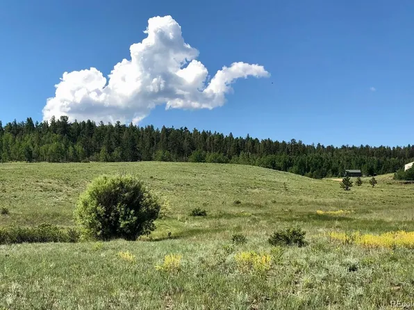 290 Aspen Trail LOT 63, Hartsel, CO 80449