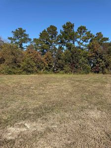 111 Quigley Pl, Aynor, SC, 29511