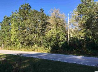 Mount Olive Rd, Loris, SC 29569