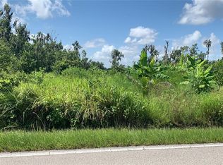 0 Sink Hole Rd, Bartow, FL 33830