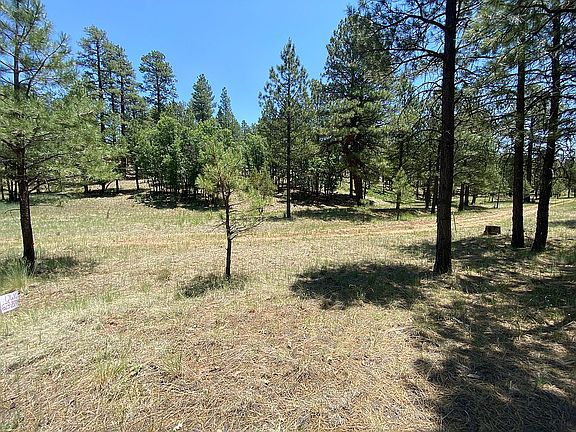 Back lot with green belt