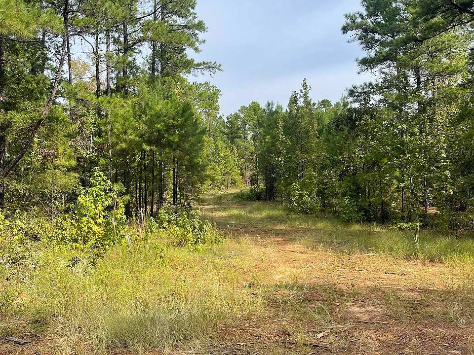 County Road 3552, Queen City, TX 75572 MLS 113067 Zillow