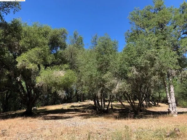 21930 Lyons Bald Mountain Rd, Sonora, CA 95370