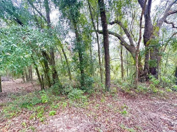 0 SE Sunset Dr, Mayo, FL 32066