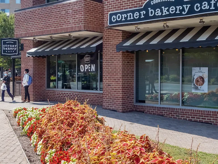 Just 1 mile from Court House and Clarendon Blvd.