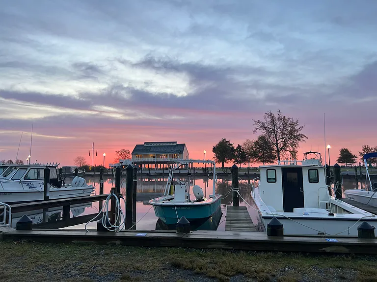 Marina