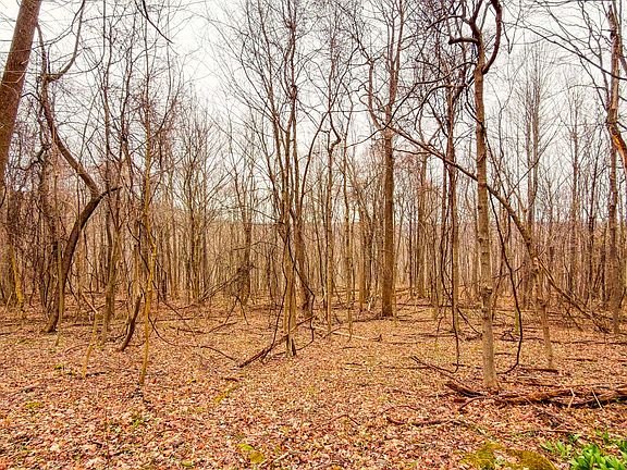 5th image of 0 Turkey Ridge Rd