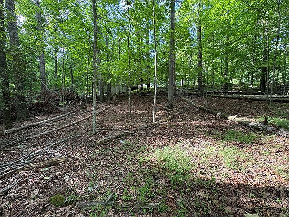2nd image of 533 Eagle Mountain Dr W