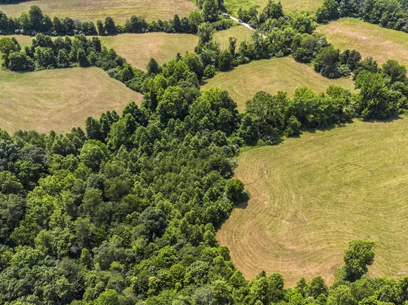 0 Mobley Flats Rd, Olive Hill, KY 41164