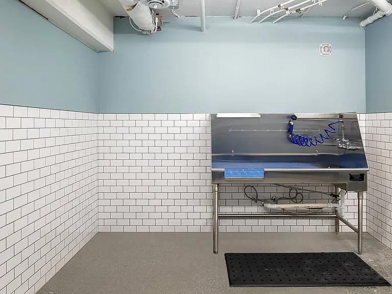 Pet Wash Station