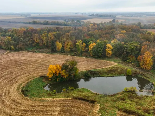 0 N Miller Rd, Vermont, IL 61484