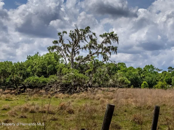 0 Spangler Ave #3, Brooksville, FL 34604