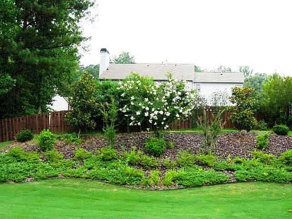 Landscaped Backyard