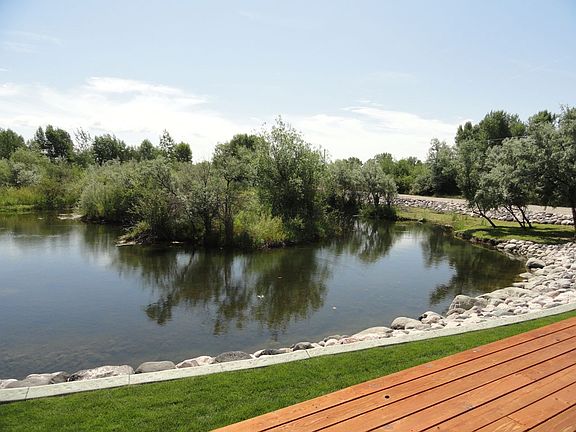 Pond w/fish, turtles & ducks