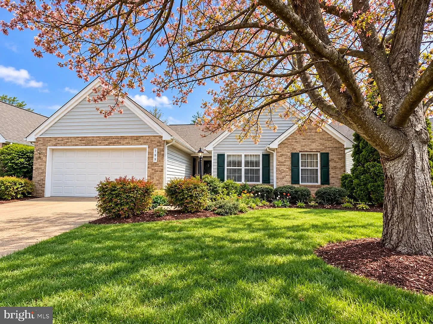 3 bed, 2.0 bath, 1665 sqft, $2,400 — Photo 1