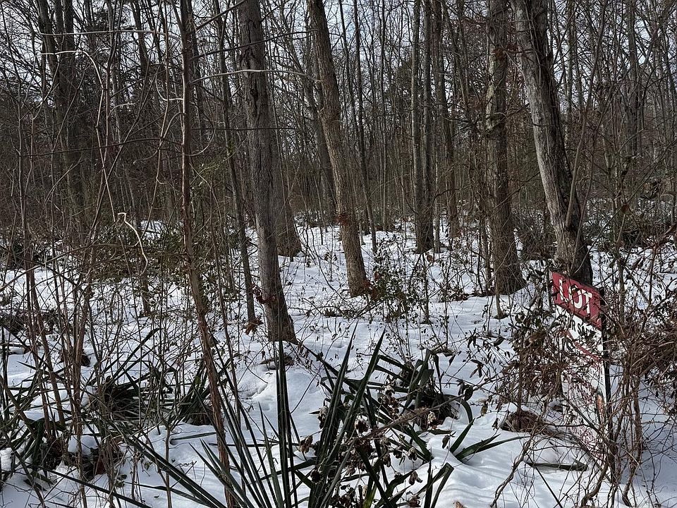 2nd image of LOT 15 Piney Ln