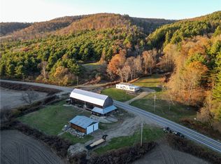 4419 County Route 119, Cameron, NY 14819