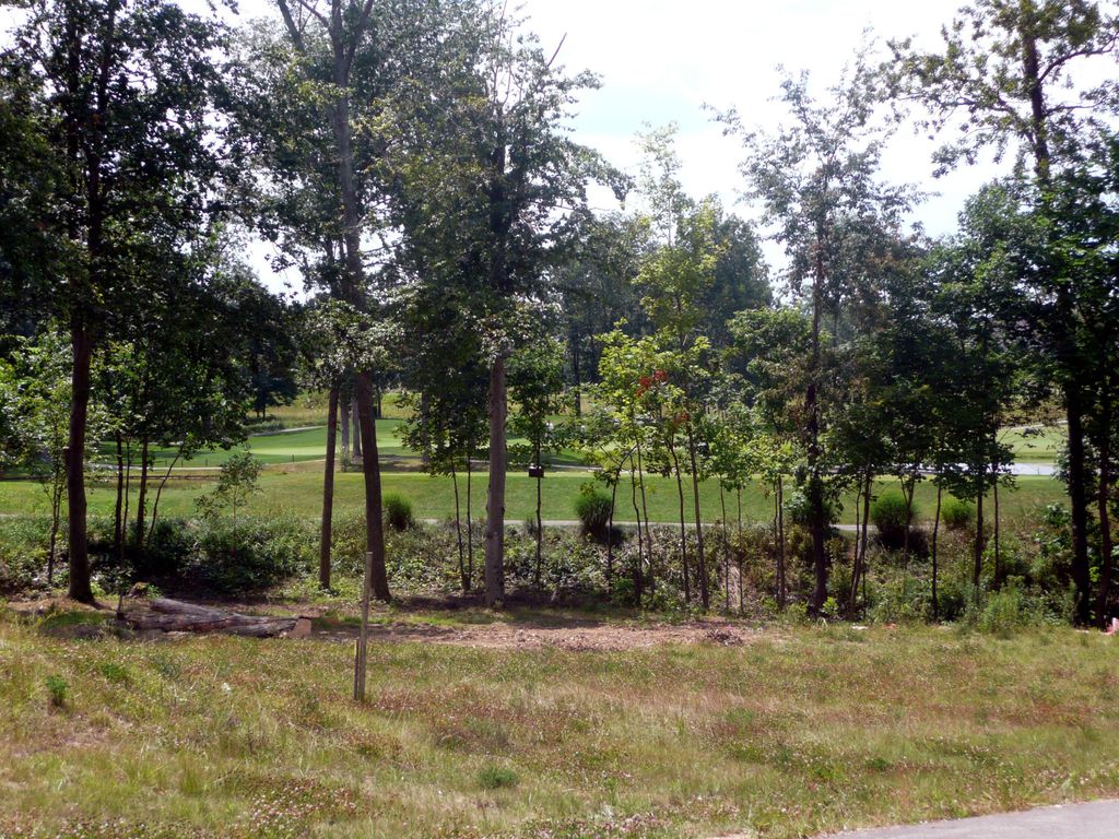 Real estate listing image