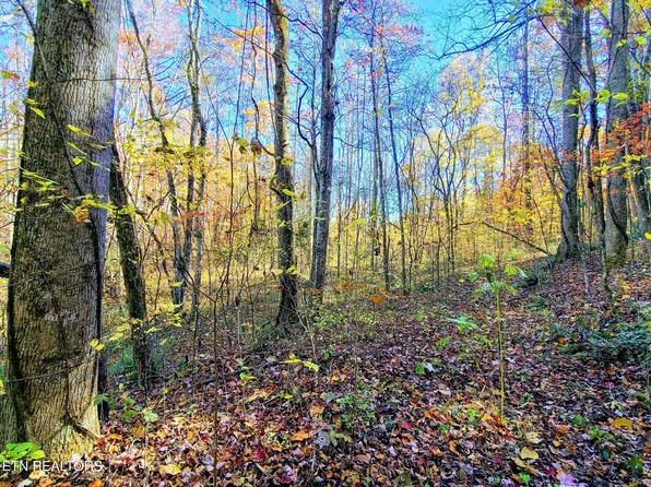 Vowell Mountain Ln, Lake City, TN 37769