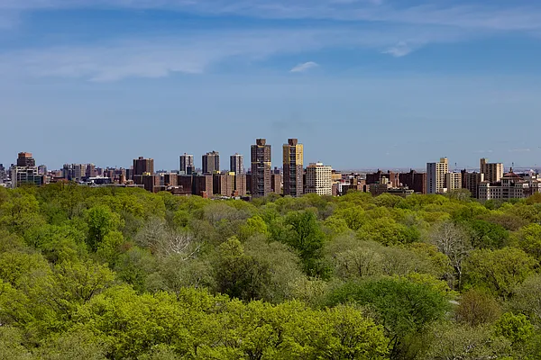 Sold by Douglas Elliman | media 18