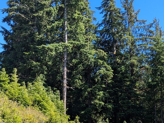5th image of Tl 801 Siletz Hwy