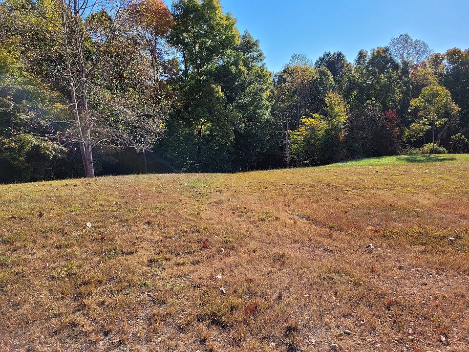 9871 Mount Pleasant Cemetery Rd, Primm Springs, TN 38476 Zillow