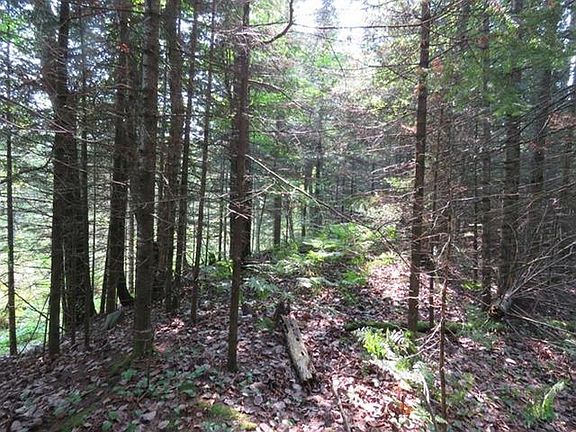 4th image of ON Old Hwy W