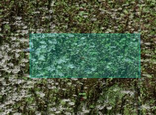 0 Old Grade Rd #Q-20, Polk City, FL 33868