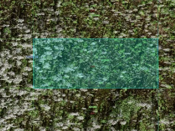 0 Old Grade Rd #Q-20, Polk City, FL 33868