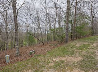 LOT 104 Old Toccoa Loop, Mineral Bluff, GA 30559