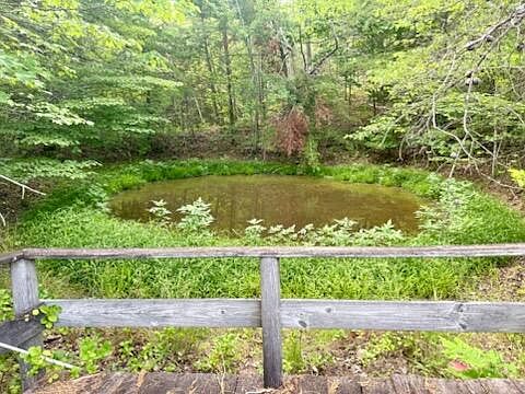 3rd image of 1020 S Dogwood Dr