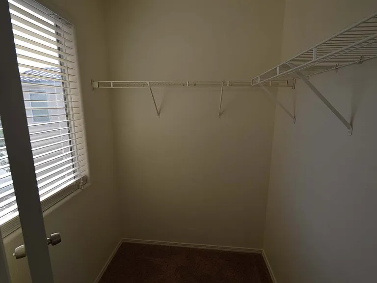 6670 Tulip Falls Dr — Photo 42