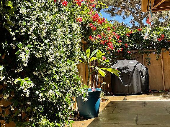 Private beautiful patios 