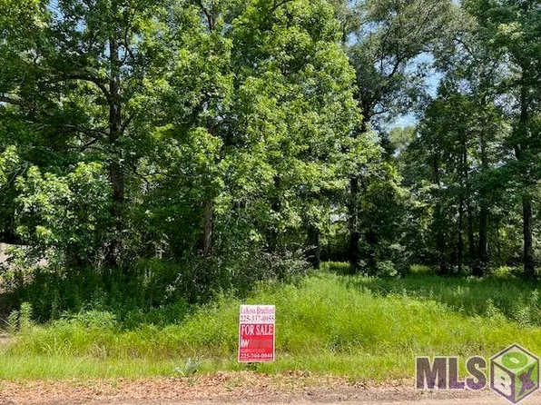 LOT 155 Netterville St, Baton Rouge, LA 70807