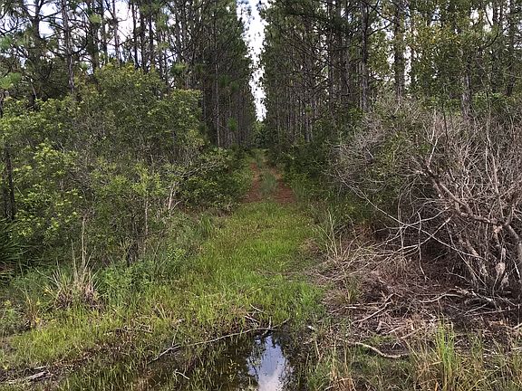 Easement on West side