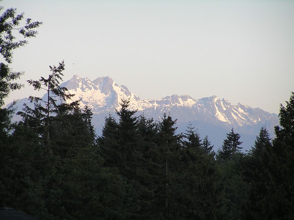 Gorgeous Olympic Views from Master and Liv room